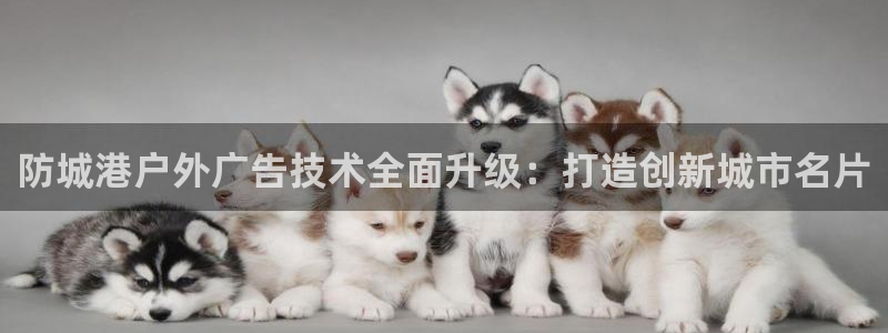 杏宇官方平台官网：防城港户外广告技术全面升级：打造创新城市名片