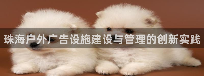 杏宇平台注册地址：珠海户外广告设施建设与管理的创新实践