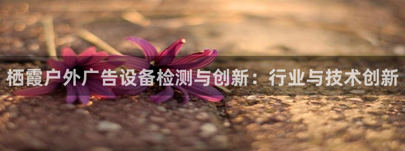 杏宇平台招商电话号码：栖霞户外广告设备检测与创新：行业与技术创新
