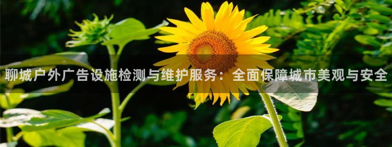 杏宇平台登录步骤：聊城户外广告设施检测与维护服务：全面保障城市美观与安全