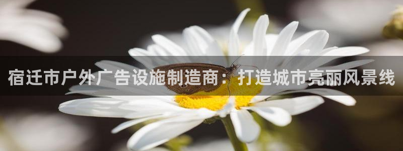 杏宇平台是什么：宿迁市户外广告设施制造商：打造城市亮丽风景线