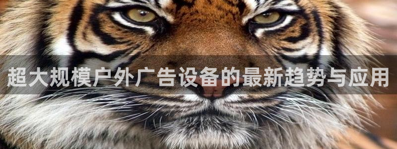 杏宇平台客服：超大规模户外广告设备的最新趋势与应用