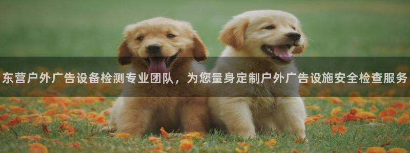 杏宇平台代理怎么赚钱：东营户外广告设备检测专业团队，为您量身定制户外广告设施安全检查服务