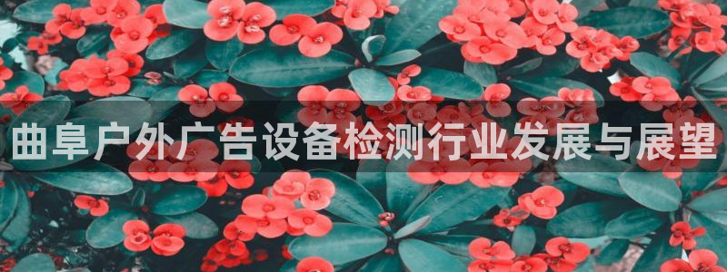 杏宇平台招商电话号码：曲阜户外广告设备检测行业发展与展望