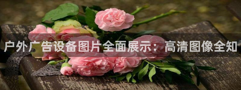 杏宇平台注册地址在哪里：户外广告设备图片全面展示：高清图像全知