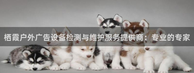 杏宇平台注册地址：栖霞户外广告设备检测与维护服务提供商：专业的专家