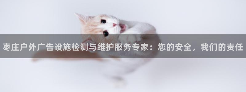 杏宇平台登录步骤图：枣庄户外广告设施检测与维护服务专家：您的安全，我们的责任
