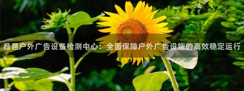 杏宇平台代理怎么样可靠吗：昌邑户外广告设备检测中心：全面保障户外广告设施的高效稳定运行