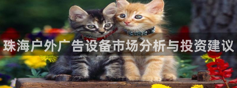 杏宇平台开户：珠海户外广告设备市场分析与投资建议
