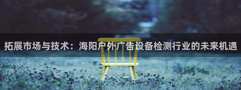 杏宇平台代理多少钱一次：拓展市场与技术：海阳户外广告设备检测行业的未来机遇