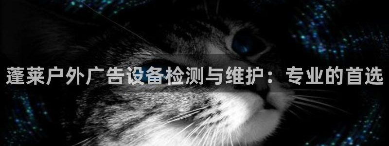 杏宇平台代理多少钱一次：蓬莱户外广告设备检测与维护：专业的首选