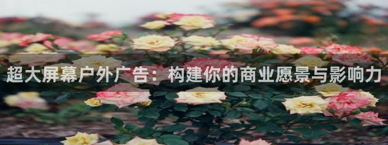 杏宇平台怎么样赚钱：超大屏幕户外广告：构建你的商业愿景与影响力