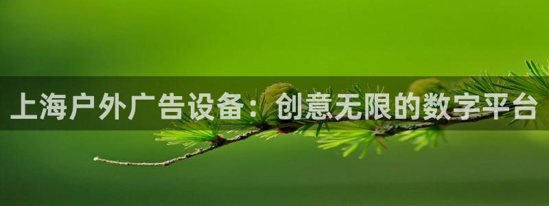 杏宇平台怎么样：上海户外广告设备：创意无限的数字平台