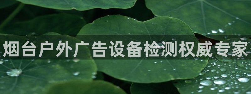 杏宇平台注册登录：烟台户外广告设备检测权威专家