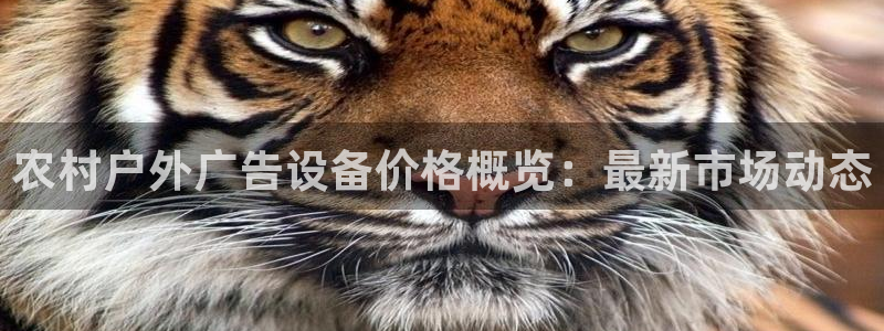 杏宇平台代理怎么样：农村户外广告设备价格概览：最新市场动态