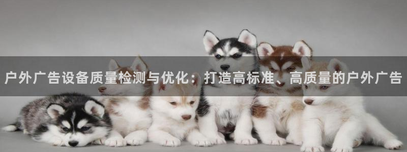 杏宇平台招商电话号码：户外广告设备质量检测与优化：打造高标准、高质量的户外广告
