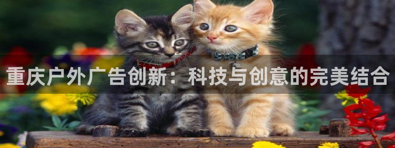 杏宇官方平台官网：重庆户外广告创新：科技与创意的完美结合
