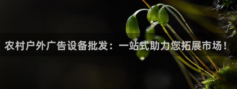 杏宇平台主管：农村户外广告设备批发：一站式助力您拓展市场！
