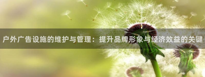 杏宇平台开户：户外广告设施的维护与管理：提升品牌形象与经济效益的关键