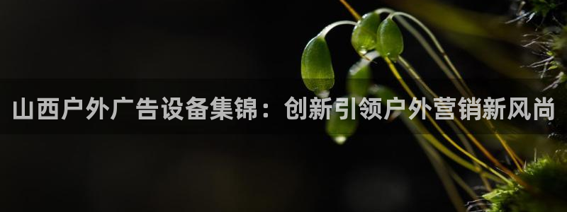 杏宇平台提现为什么这么久呢：山西户外广告设备集锦：创新引领户外营销新风尚
