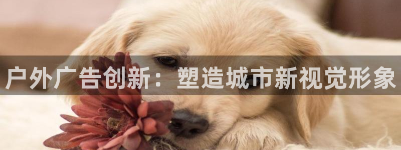 杏宇平台代理多少钱一次：户外广告创新：塑造城市新视觉形象