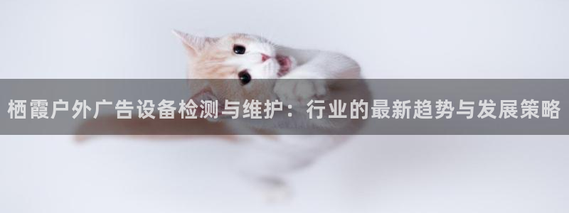 杏宇平台代理怎么赚钱：栖霞户外广告设备检