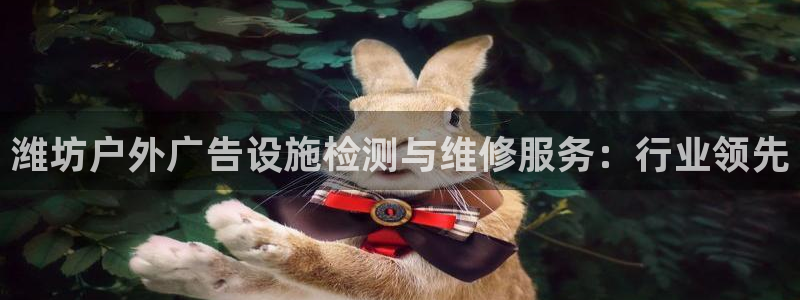 杏宇平台是什么：潍坊户外广告设施检测与维修服务：行业领先