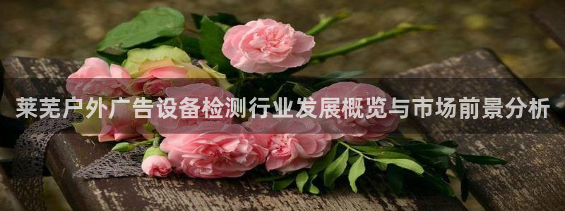 杏宇平台代理怎么赚钱的：莱芜户外广告设备检测行业发展概览与市场前景分析