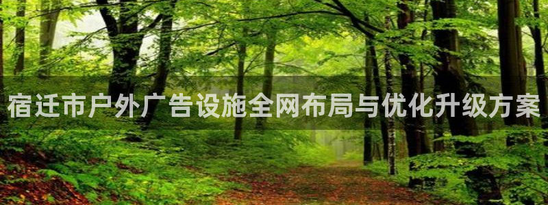 杏宇平台总代理是谁：宿迁市户外广告设施全网布局与优化升级方案