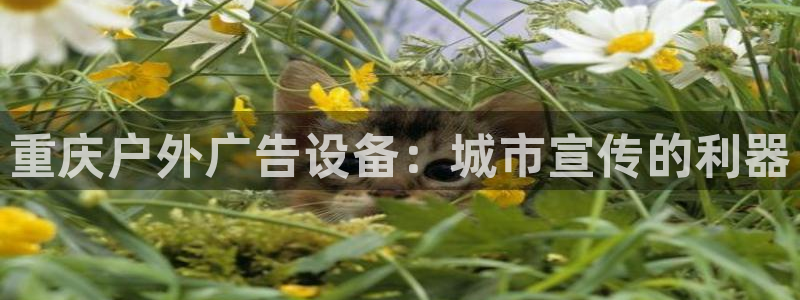 杏宇平台登录步骤是什么