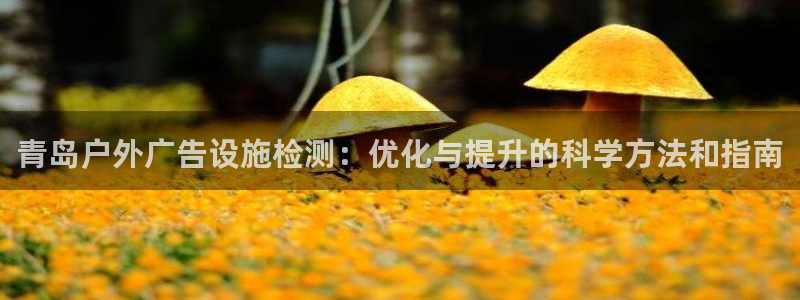 杏宇平台代理多少钱一次：青岛户外广告设施检测：优化与提升的科学方法和指南