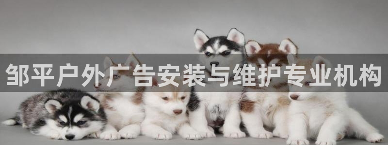 杏宇平台代理多少钱一个：邹平户外广告安装