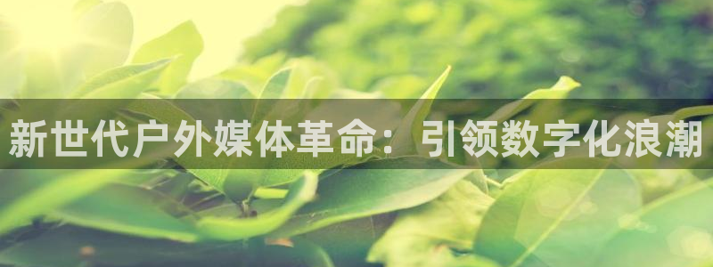 杏宇平台是什么